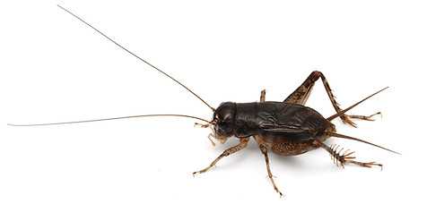 記事サムネイル