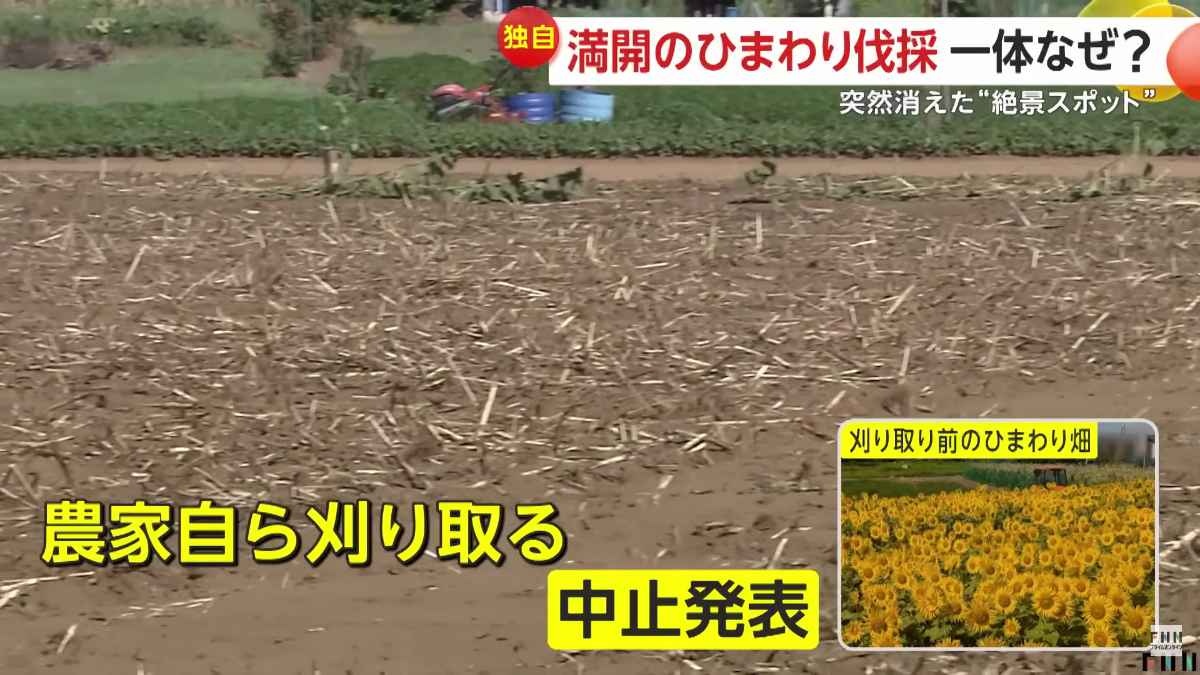 レス1番の画像4