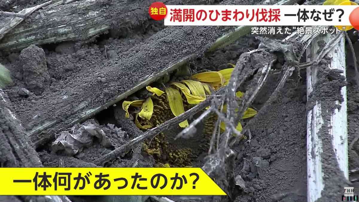 レス29番の画像1