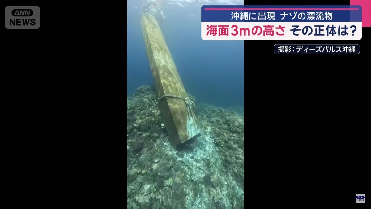 レス1番の画像2