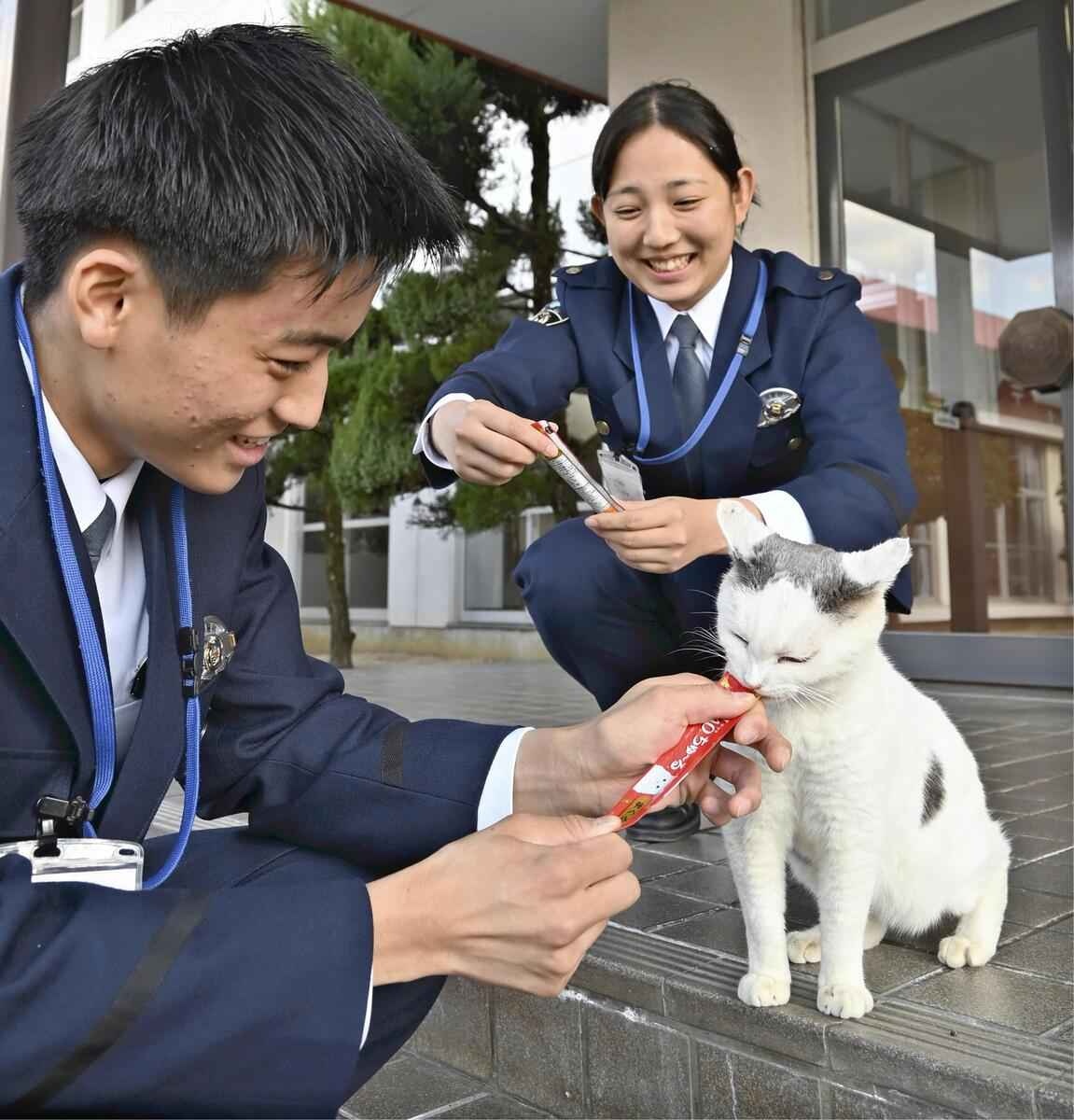 レス1番の画像2