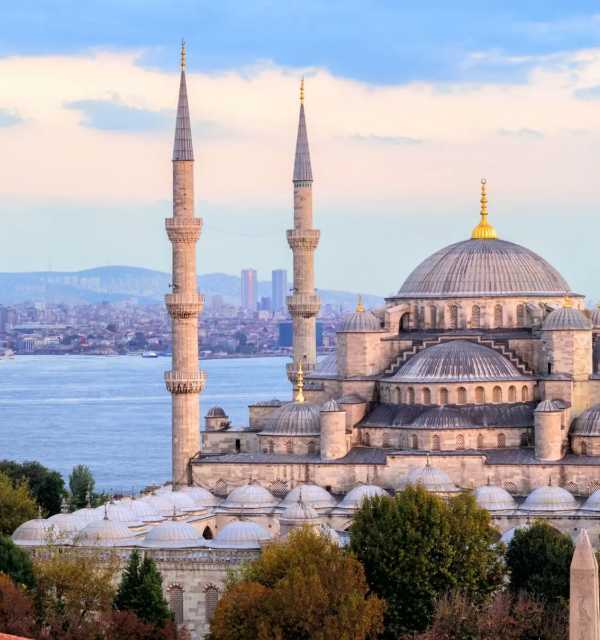 記事サムネイル