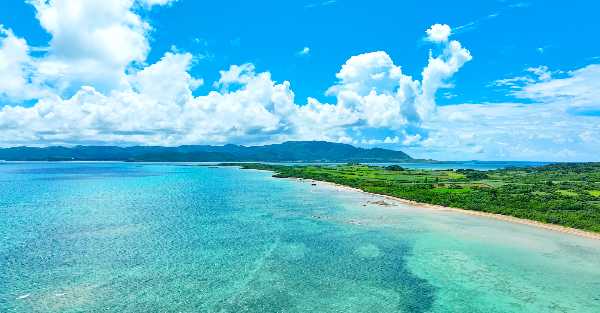 記事サムネイル