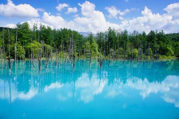 記事サムネイル